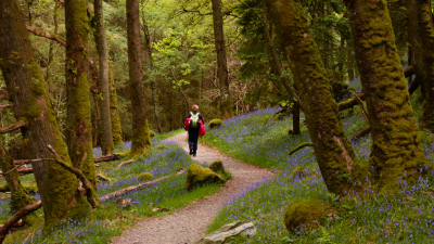 Walking the West Highland Way: Milngavie to Inverarnan  The Natural Adventure