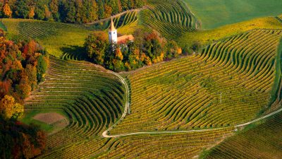Cycling in Slovenia: Ptuj to Moravske Toplice The Natural Adventure 11